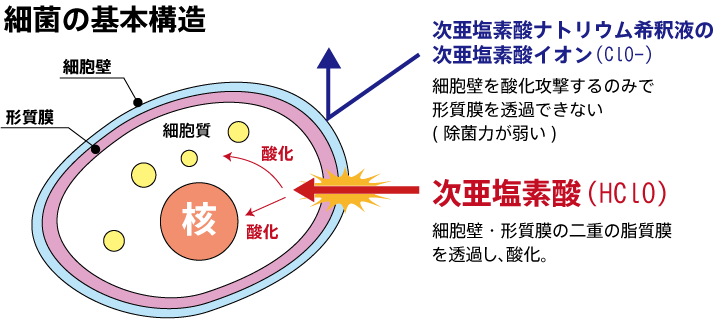 の 亜 次 酸 塩素 亜鉛 次 違い と 酸 ナトリウム